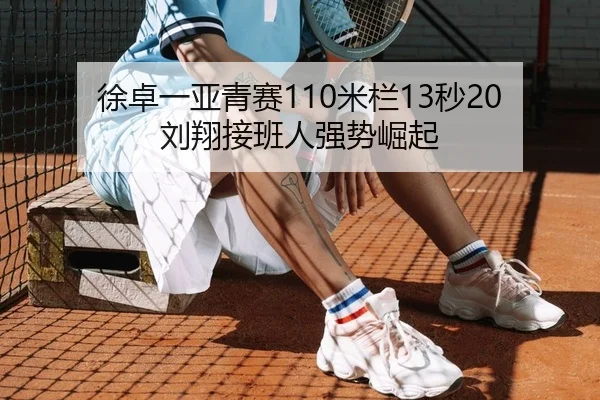 徐卓一亚青赛110米栏13秒20 刘翔接班人强势崛起